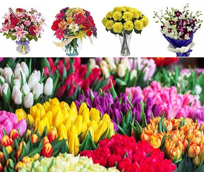 بهترین گل فروشی